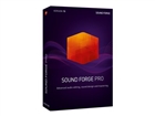 Sound Editing & Recording –  – 639191910036