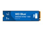 SSD –  – WDS100T4B0E