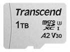 Flash Cards –  – TS1TUSD300S-A