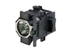 Projector Lamps –  – ML12505