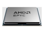 AMD-Prosessorer –  – 100-000000877