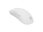 Souris –  – NMG-2382