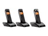 Wireless Telephones –  – C69000D48O3AESAR