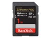 Κάρτες flash –  – SDSDXEP-1T00-GN4IN