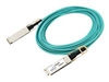 Καλώδια οπτικής ίνας –  – PAN-QSFP-AOC-50M-AX