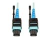Patch Cables –  – N846-03M-24-P