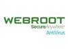 Anti-Spyware –  – 11100310