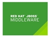 Software Maintenance –  – MW0153748