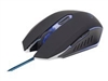 Mouse																																																																																																																																																																																																																																																																																																																																																																																																																																																																																																																																																																																																																																																																																																																																																																																																																																																																																																																																																																																																																																					 –  – MUSG-001-B