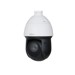 Turvakaamerad –  – DH-SD49425GB-HNR