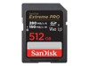 快閃記憶體卡 –  – SDSDXEP-512G-GN4IN