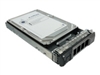 服务器硬盘驱动器 –  – AXD-PE100072SF6