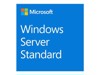 Windows licenc és média –  – P73-08328