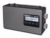 Prenosni radio uređaji –  – RF-D10EG-K