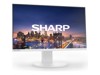 Computer Monitors –  – DDEA241FW