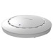 Wireless Access Point –  – CAP300