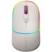 Mice –  – CNS-CMSW22RC