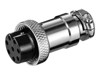 Specific Cables –  – 11231