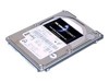 Interne harddiske –  – 250GI2S-TM