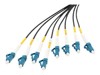 Fiber																								 –  – DK-2A338UE50BK-BBB
