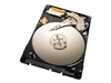 Internal Hard Drives –  – ST500LT012