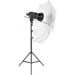 Studio Light –  – P80S-1