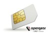 Remote Access Software –  – OPG-ATT-LG-5YR