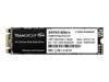 SSD, Solid State Drives –  – TM8PS7002T0C101