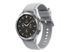 Smart Watches –  – SM-R895FZSAEUE