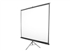 Projector Screens –  – T85NWS1