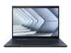 Ordinateurs portables –  – 90NX06R1-M00290