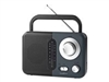 Transportable Radioer –  – RDFM1300GY