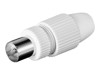 Specific Cables –  – 11942
