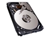 Tvrdi diskovi za servere –  – ST900MM0006-RFB