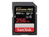 快閃記憶體卡 –  – SDSDXDK-256G-GN4IN