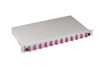 Cabling Accessories –  – B71203L24OM4