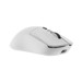 Mice –  – MAXIMUS-W
