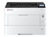 Monochrome Laser Printers –  – 1102Y43NL0