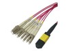 Καλώδια οπτικής ίνας –  – MPO12LC-41