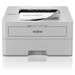 Printer Laaser Monochrome –  – HLL2865DWRE1
