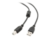 USB-Kablar –  – CCF-USB2-AMBM-10
