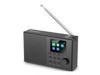Portable Radios –  – 421-39
