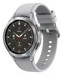 Smart Watch –  – SM-R895FZSADBT