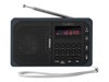 Kaasaskantavad raadiod –  – RDFM2100GY