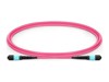Fiber																								 –  – LVO230402-MTP