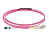 Fiber Cables –  – MPO12-4XLCDPM4-05MA