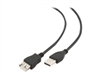 USB Kabler –  – CCP-USB2-AMAF-6