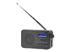 Φορητές συσκευές ραδιοφώνου –  – RDDB1000BK