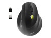 Mice –  – 910007