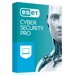 Softwares de Anti-Vírus &amp; segurança –  – ESET/SOF/ECYB PRO/000/SER 1U 12